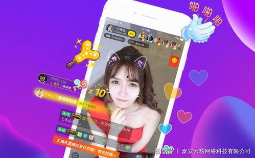 爆料百香果娱乐直播视频,独家爆料视频内容大揭秘